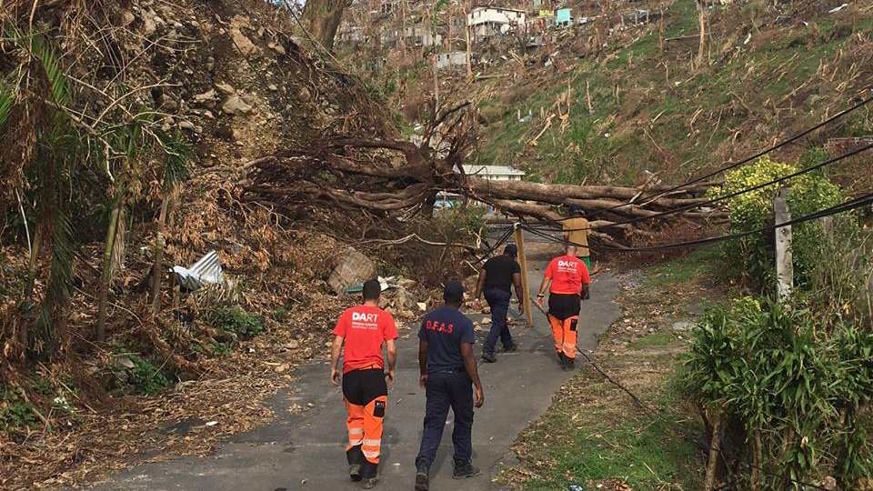 DART - Disaster Arborist Response Team clearing an essential road way of dangerous fallen trees around powerlines opening supply chains up so aid can get to communities 16.9